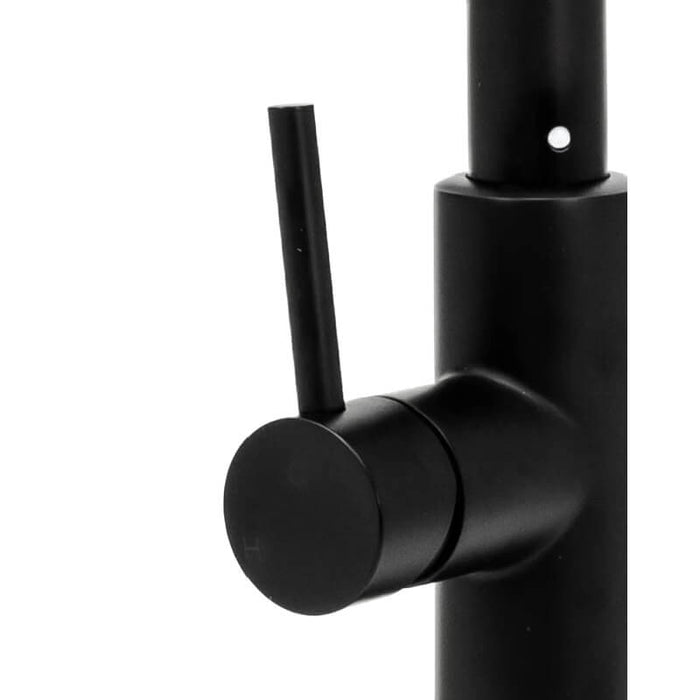 Cameo Matte Black Pull-Down Faucet