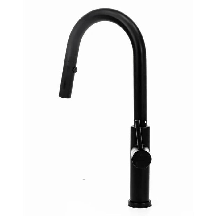 Cameo Matte Black Pull-Down Faucet