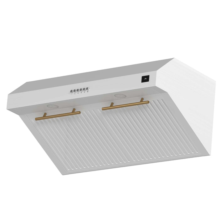 Forno Bari Espresso 30" Under Cabinet Range Hood in White