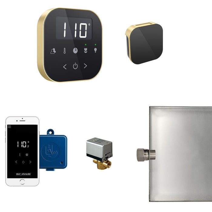 Mr. Steam Air Butler Steam Shower Control Package with AirTempo Control and Aroma Glass SteamHead in Black Satin Brass